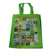 温州LB11覆膜无纺布广告袋